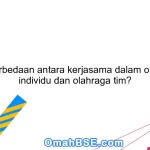 Apa perbedaan antara kerjasama dalam olahraga individu dan olahraga tim?