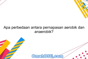 Apa perbedaan antara pernapasan aerobik dan anaerobik?