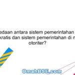 Apa perbedaan antara sistem pemerintahan di negara demokratis dan sistem pemerintahan di negara otoriter?