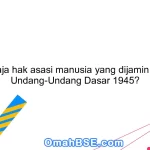 Apa saja hak asasi manusia yang dijamin dalam Undang-Undang Dasar 1945?