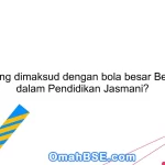 Apa yang dimaksud dengan bola besar Belanda I dalam Pendidikan Jasmani?