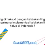 Apa yang dimaksud dengan kebijakan lingkungan hidup? Bagaimana implementasi kebijakan lingkungan hidup di Indonesia?