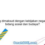 Apa yang dimaksud dengan kebijakan negara dalam bidang sosial dan budaya?