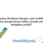 Apa yang dimaksud dengan opini publik dan bagaimana pengaruhnya dalam proses pembuatan kebijakan publik?