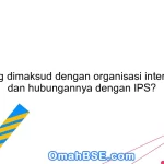 Apa yang dimaksud dengan organisasi internasional dan hubungannya dengan IPS?