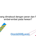 Apa yang dimaksud dengan peran dan fungsi embel-embel pada hewan?