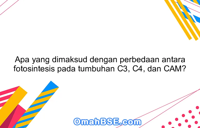 Apa yang dimaksud dengan perbedaan antara fotosintesis pada tumbuhan C3, C4, dan CAM?