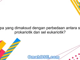 Apa yang dimaksud dengan perbedaan antara sel prokariotik dan sel eukariotik?