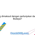 Apa yang dimaksud dengan pertunjukan dalam Seni Budaya?