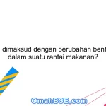 Apa yang dimaksud dengan perubahan bentuk energi dalam suatu rantai makanan?