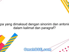 Apa yang dimaksud dengan sinonim dan antonim dalam kalimat dan paragraf?