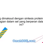 Apa yang dimaksud dengan sintesis protein dan apa bagian-bagian dalam sel yang berperan dalam proses ini?