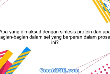 Apa yang dimaksud dengan sintesis protein dan apa bagian-bagian dalam sel yang berperan dalam proses ini?