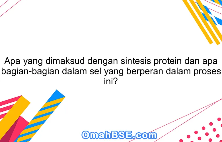 Apa yang dimaksud dengan sintesis protein dan apa bagian-bagian dalam sel yang berperan dalam proses ini?