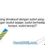 Apa yang dimaksud dengan sudut yang saling berhubungan (sudut sejajar, sudut berhadapan, sudut tumpul, sudut lancip)?