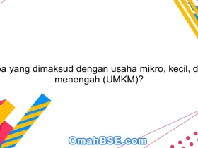 Apa yang dimaksud dengan usaha mikro, kecil, dan menengah (UMKM)?