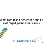 Apa yang menyebabkan perubahan suhu suatu zat saat terjadi perubahan wujud?