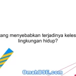 Apa yang menyebabkan terjadinya kelestarian lingkungan hidup?