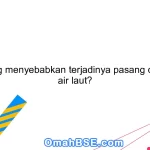 Apa yang menyebabkan terjadinya pasang dan surut air laut?