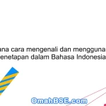 Bagaimana cara mengenali dan menggunakan kata penetapan dalam Bahasa Indonesia?