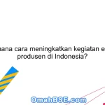 Bagaimana cara meningkatkan kegiatan ekonomi produsen di Indonesia?