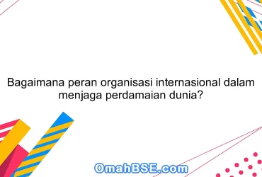 Bagaimana peran organisasi internasional dalam menjaga perdamaian dunia?