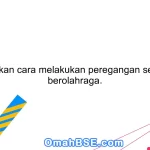 Jelaskan cara melakukan peregangan setelah berolahraga.