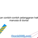 Jelaskan contoh-contoh pelanggaran hak asasi manusia di dunia!