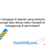 Jelaskan mengapa di daerah yang bersuhu rendah, air di sungai atau danau beku menjadi es yang mengapung di permukaan!