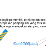 Jika suatu segitiga memiliki panjang dua sisi 6 cm dan 8 cm, berapakah panjang sisi yang tersisa jika sisi ketiga juga merupakan sisi yang sama?