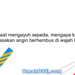 Pada saat mengayuh sepeda, mengapa kita bisa merasakan angin berhembus di wajah kita?