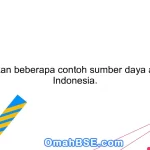 Sebutkan beberapa contoh sumber daya alam di Indonesia.