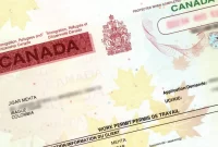 How to Get a Work Permit in Canada