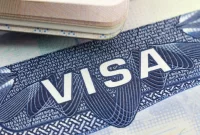 How to Get a Work Visa in the US