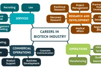 French Biotech Industry: A Career Roadmap