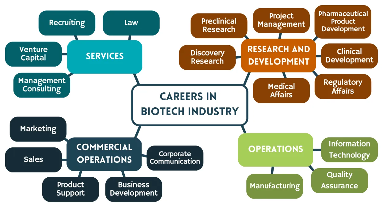 French Biotech Industry: A Career Roadmap